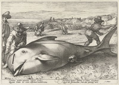Baleine échouée sur la plage de Zandvoort, 1594 - Hendrick Goltzius (workshop of)