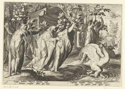 Les sœurs de Phaéthon se transforment en peupliers et son ami en cygne (Ovidius