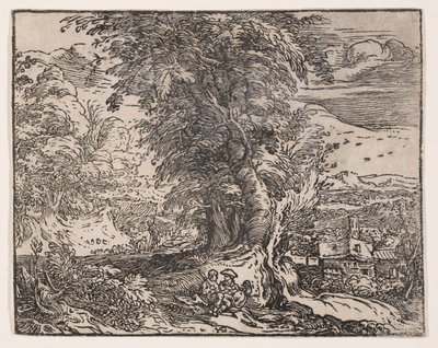 Paysage avec un couple de bergers - Hendrick Goltzius