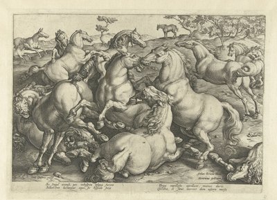 Douze chevaux combattants - Hendrick Goltzius