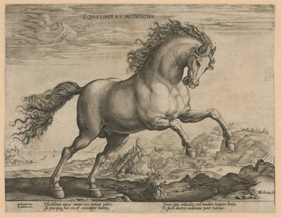 Cheval sauvage - Hendrick Goltzius