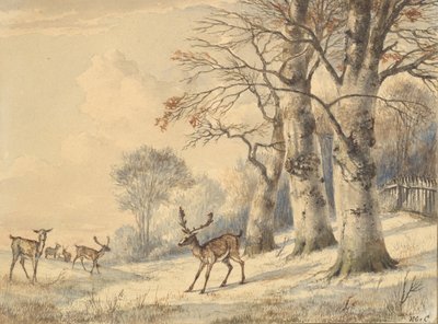 Cerfs sous des hêtres en été, 1853 - Hendrik Gerrit ten Cate