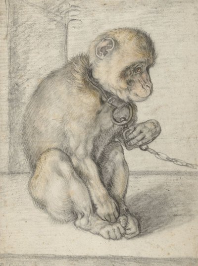 Singe assis enchaîné, 1592-1602 - Hendrik Goltzius
