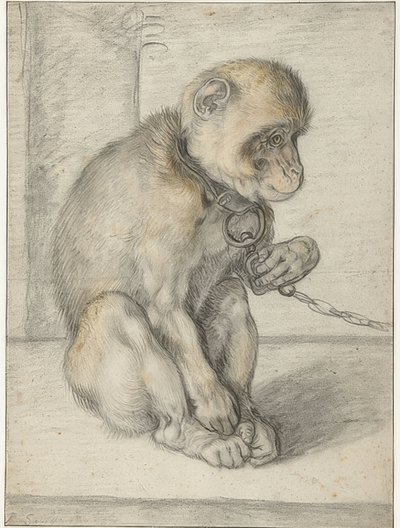 Un singe assis enchaîné - Hendrik Goltzius