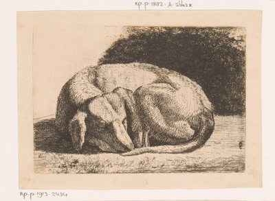 Chien endormi - Hendrik Jozef Franciscus van der Poorten