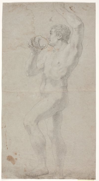 Étude de modèle masculin - Hendrik Krock