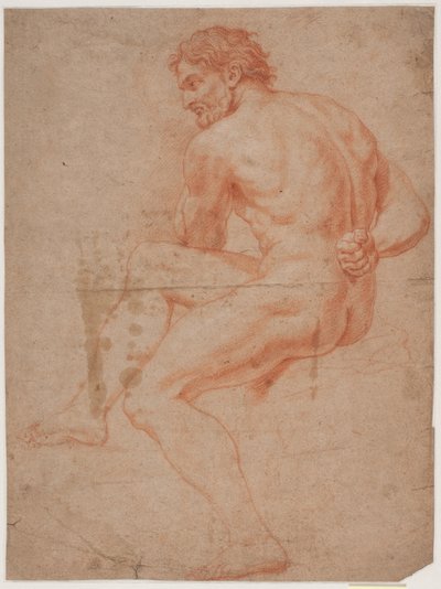 Étude de modèle masculin - Hendrik Krock