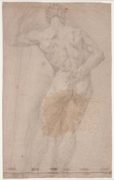 Étude de modèle masculin vu de dos - Hendrik Krock