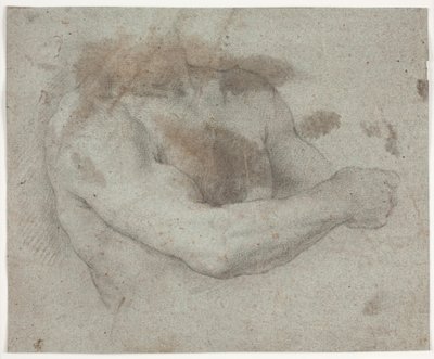 Torso de modèle masculin - Hendrik Krock