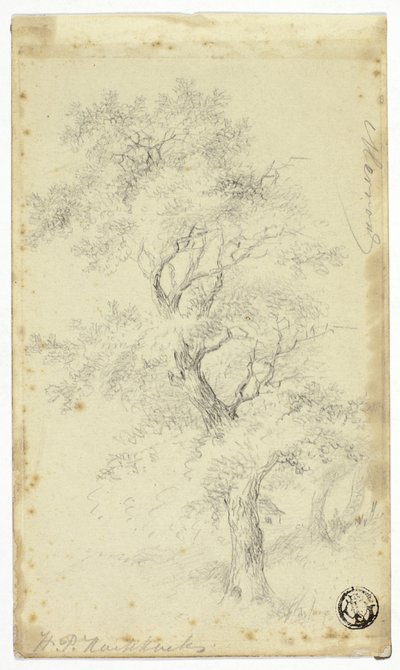 Merron - Hendrik Pieter Koekkoek