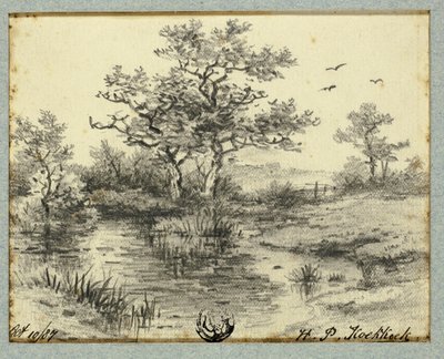 Arbres près de l