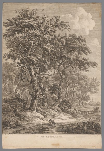 Paysage près de Zuidlaren - Hendrik Schwegman