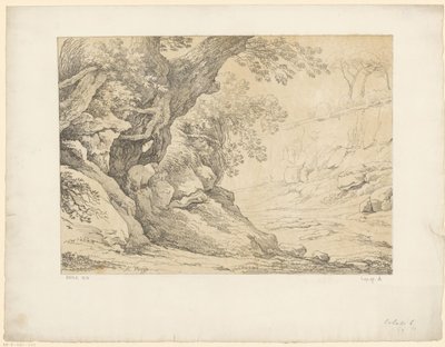 Rochers couverts de végétation - Hendrik Voogd