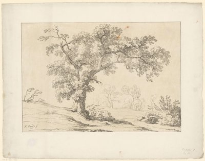 Arbre dans un paysage - Hendrik Voogd