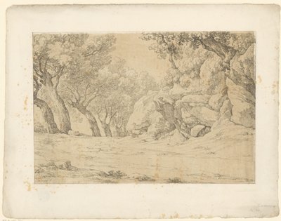 Allée avec rochers couverts de végétation - Hendrik Voogd