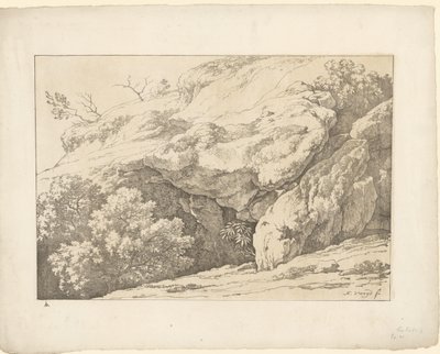 Rochers avec des buissons - Hendrik Voogd