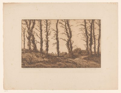Oud Blaricummerweg - Hendrik Weegewijs (signed by artist)