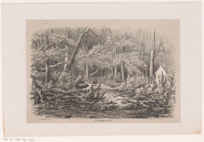 Omgewaaide bomen aan de Jacobalaan, na de storm van 28 mei 1860 - Hendrik Wilhelmus Last