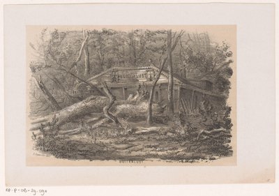 Arbre renversé à Buitenlust, après la tempête du 28 mai 1860 - Hendrik Wilhelmus Last