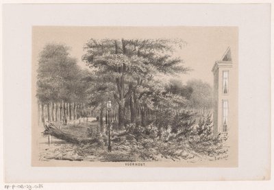 Arbre renversé à Voorhout, après la tempête du 28 mai 1860 - Hendrik Wilhelmus Last