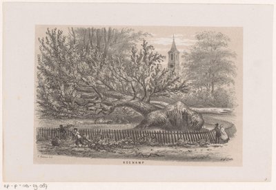 Arbre renversé près de la Koekamp, après la tempête du 28 mai 1860 - Hendrik Wilhelmus Last