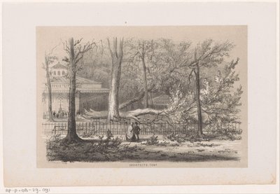 Arbre renversé près de la société, après la tempête du 28 mai 1860 - Hendrik Wilhelmus Last