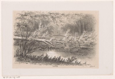 Arbre renversé, après la tempête du 28 mai 1860 - Hendrik Wilhelmus Last