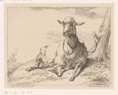 Chèvre couchée, Divers animaux (titre de la série) - Hendrik Willem Schweickhardt