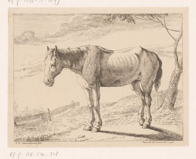 Cheval - Hendrik Willem Schweickhardt