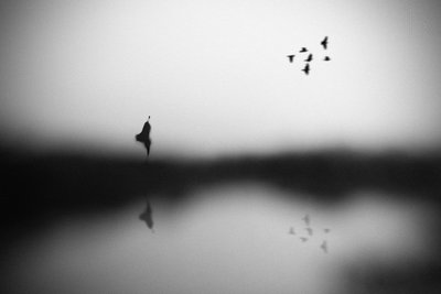 Reflet d