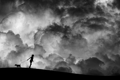 Promenade canine sous un ciel orageux - Hengki Lee