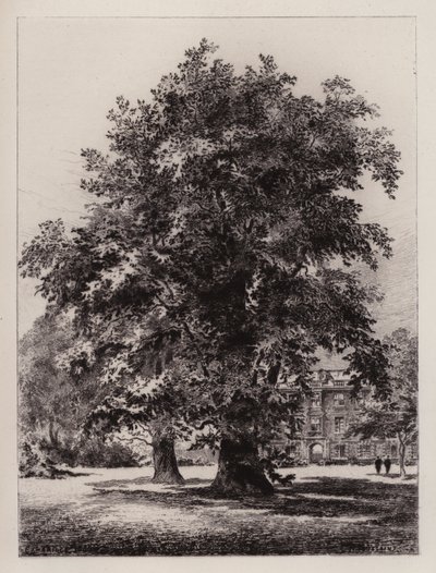 Cambridge : Le jardin du Christ