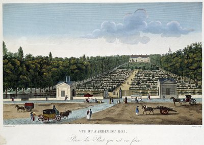 Vue du Jardin du Roi (Jardin des Plantes) prise du pont en face - Henri Courvoisier Voisin