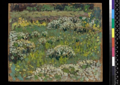 Le jardin de l