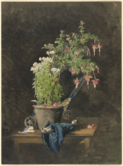 Un fuchsia en pot avec des jouets d