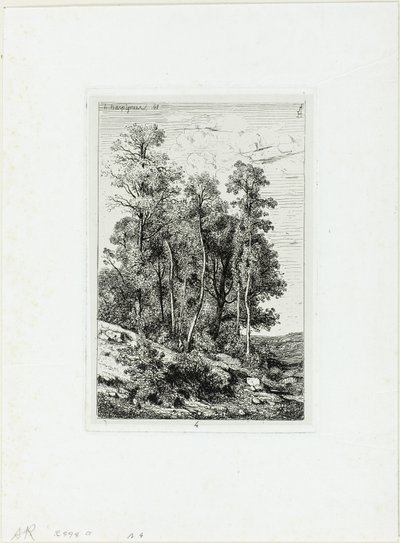 Bouleaux et chênes - Henri Joseph Harpignies
