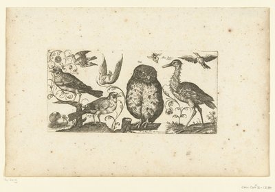 Neuf oiseaux et un insecte - Henri Le Roy