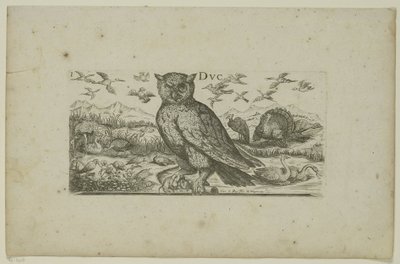 Hibou et autres oiseaux - Henri Le Roy
