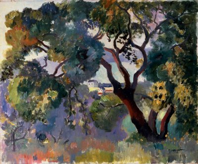 Paysage à Saint-Tropez, 1905 - Henri Manguin