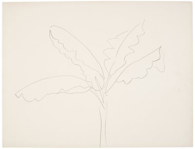 Bananier (Tahiti) - Henri Matisse