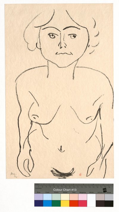 Nu de face, vue plongeante - Henri Matisse