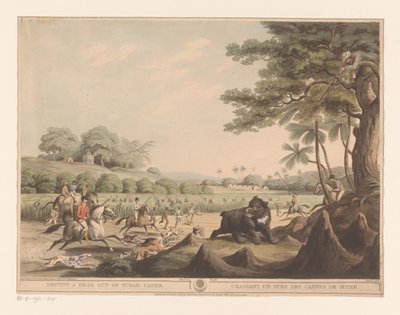 Chasse à l