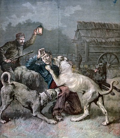 Un criminel attaqué par trois grands chiens - Henri Meyer