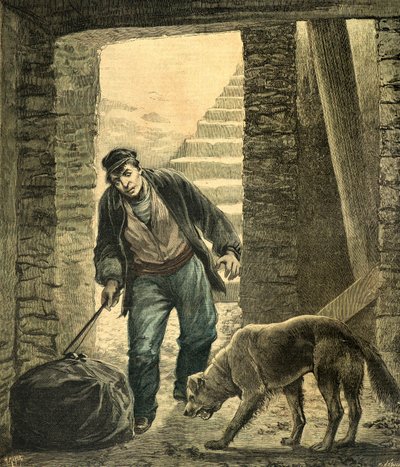 Découverte d