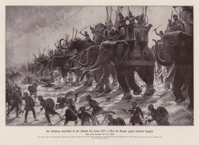 Les éléphants d