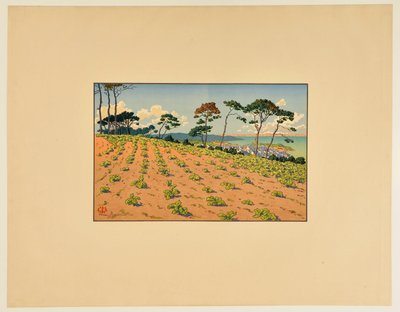 [Douarnenez vu de la route du Ris] - Henri Rivière