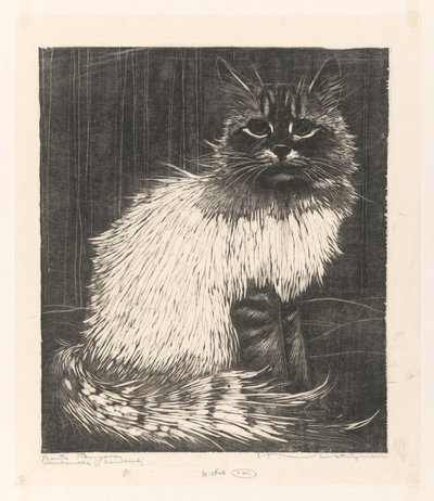 Angora coloré - Henri Verstijnen (signed by artist)