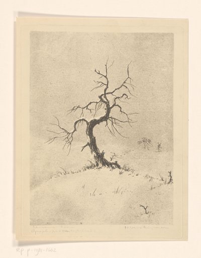 Arbre solitaire - Henri Verstijnen (signed by artist)