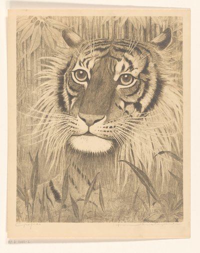 Tête de tigre - Henri Verstijnen (signed by artist)