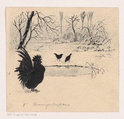 Canards, oiseaux et coq près d